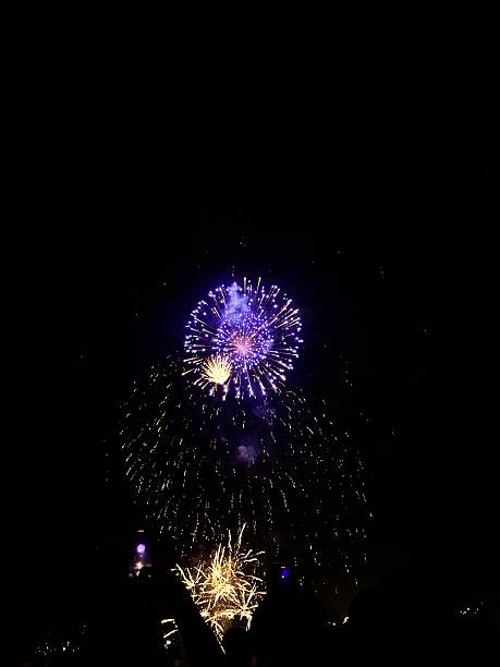 Colorful fireworks explode in the night sky above a crowd of silhouetted spectators, capturing the excitement of a nighttime celebration.