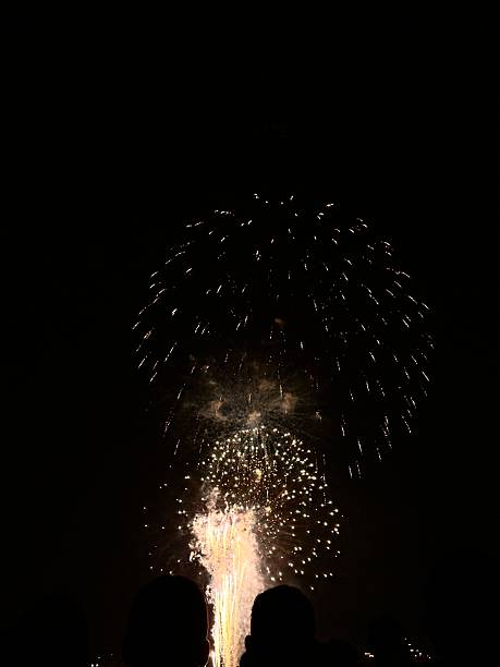 istock Fireworks lighting up the night sky above silhouetted crowd 2244538039