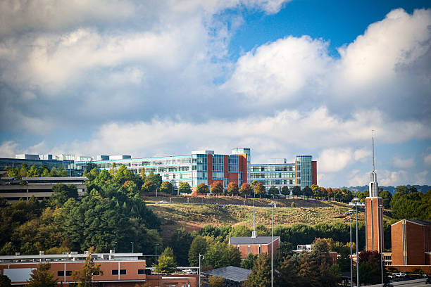 istock Chattanooga Tennessee city view 2244550194