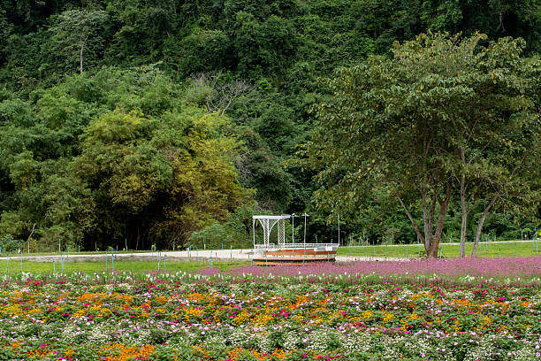 Flower garden at Khao Yai, Korat, Thailand.