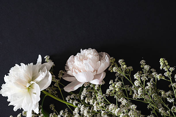 istock Delicate white flowers and buds arranged beautifully on a dark surface 2244563043