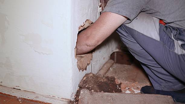 istock Construction worker repairing a damaged wall in a house 2244570870