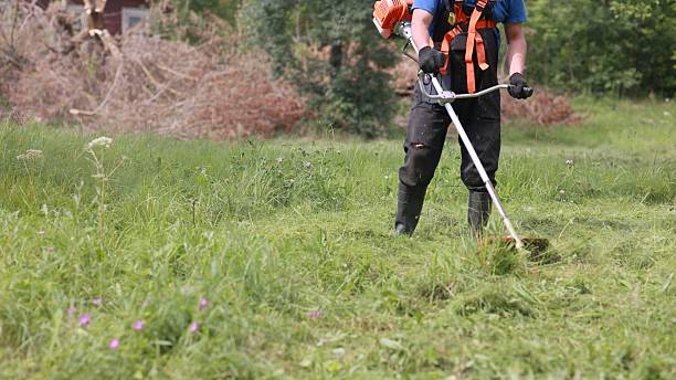 istock Gardener mowing grass with brushcutter in summer 2244572407