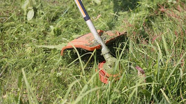 istock Gasoline trimmer mowing green grass on a sunny summer day 2244572680