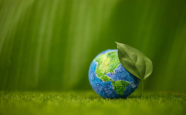 istock Globe with Green Leaf on Green Nature background. Environmental sustainability 2244575853