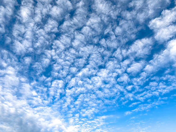 istock Soft altocumulus clouds scattered across the vivid blue sky upon a clear day, captured from below featuring natural daylight creating a calm and airy atmosphere within the upper view 2244575878