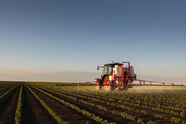 istock Tractor spraying crops in a lush green field at sunset. 2244579956