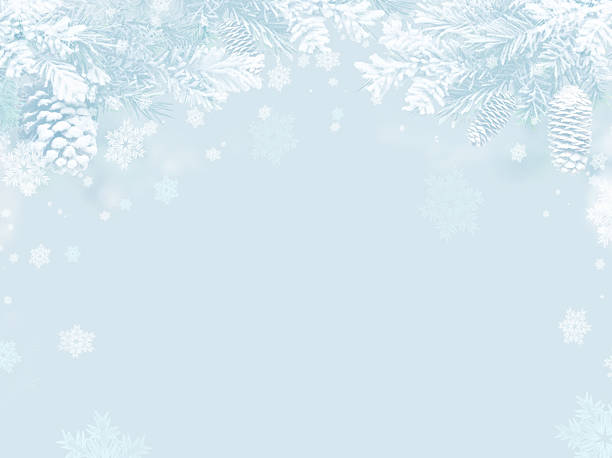 istock Light blue winter background framed with snowy pine branches and white pinecones, ideal for seasonal greetings or copy space. 2244587212