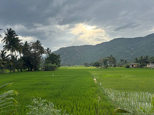 istock The Golden Breath Before the Rain. 2244588811