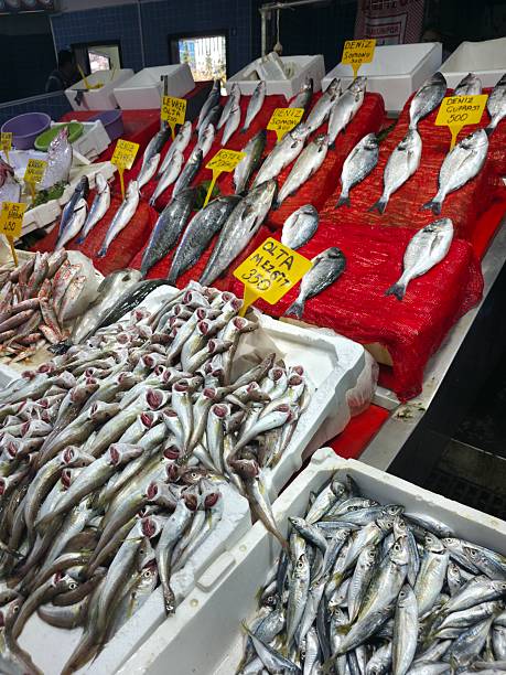 Fisherman's Shop in Turkey.