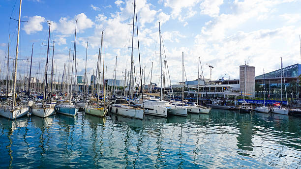 beautiful ships and boats are moored near the shore