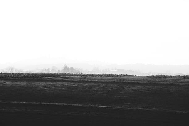 Reduced SW landscape with field, tree line and misty rolling hills—quiet, texture-focused composition.