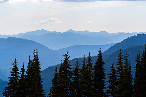 istock Layers of Hurricane Ridge 2244598109