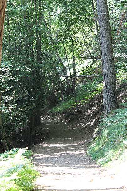 istock 2024 - Piedrafita de Jaca Natural Area - Pyrenees 2244598829
