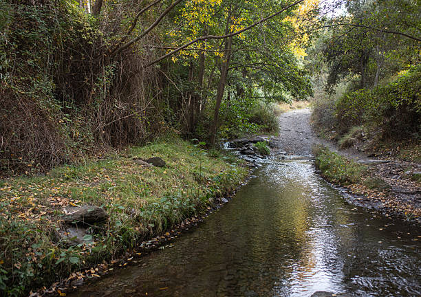 istock Serene landscape featuring a tranquil stream flowing through lush greenery, surrounded by trees and rocky banks, creating a peaceful natural environment for relaxation and reflection 2244601868
