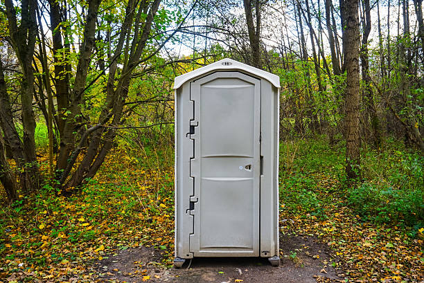 istock Toilet plastic dry cabin in the park 2244605338