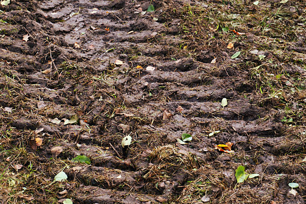 Washed out road. Mud
