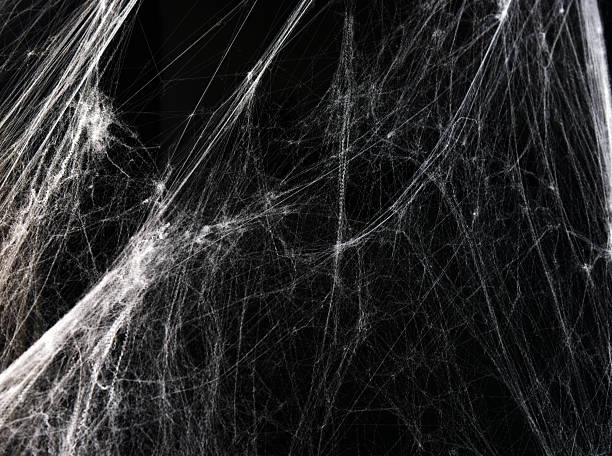 istock Spider web background for scary inscription, title or design 2244605872