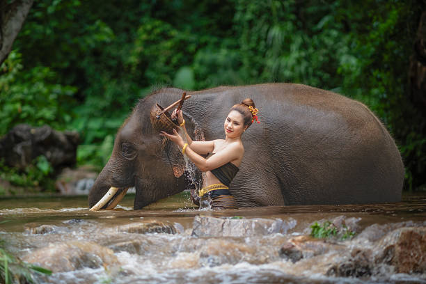 istock Happy female bathing elephant by the river. 2244606625