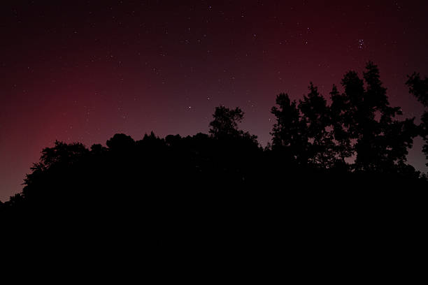 Thick stand of trees silhouetted by the Aurora borealis glowing red behind with stars shining through in North Carolina.