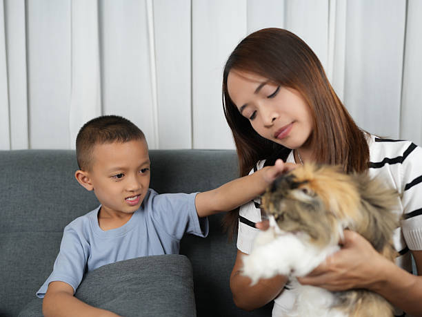 istock Child interacts joyfully with fluffy rabbit while woman gently holds pet. scene captures warm moment of connection and affection between them, showcasing bond between humans and animals 2244607060