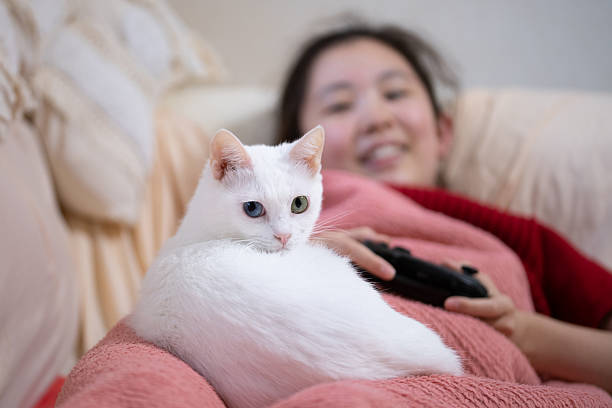 istock Cat and girl relaxing at home 2244607883