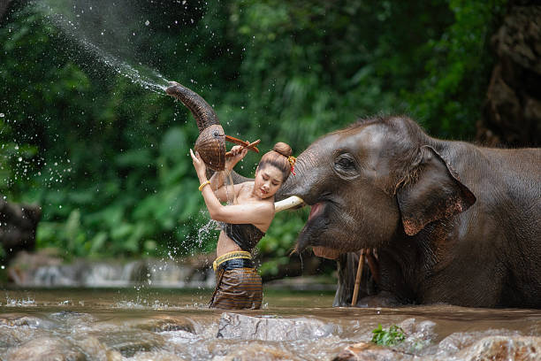 istock Happy female bathing elephant by the river. 2244611471