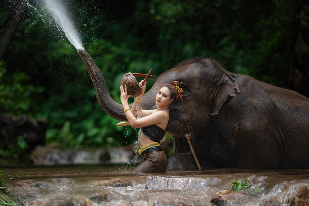 istock Happy female bathing elephant by the river. 2244615388