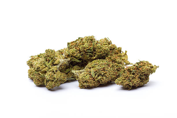 istock Marijuana flowers isolated on white background 2244617337