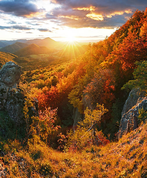 istock Forest and rocks mountain with sun at beautifull red sunset 2244617456