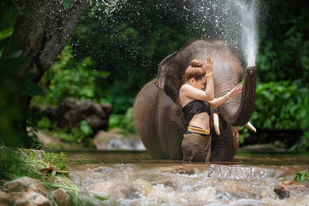 istock Happy female bathing elephant by the river. 2244618273