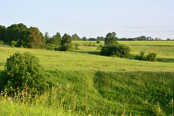 istock Green Fields and Rolling Hills on a sunset with some trees 2244619529