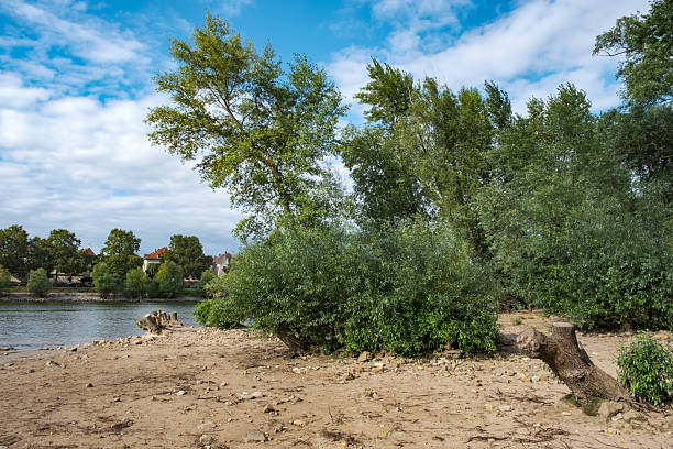 istock On the banks of the Main River 2244620644