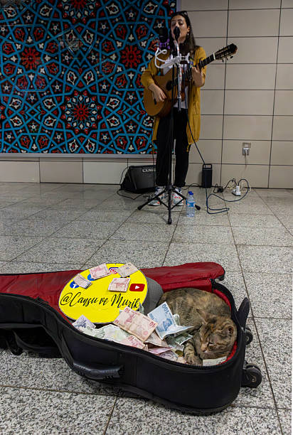 Istanbul, Turkey - May 9, 2024: Sleeping cat on guitar case as street musician plays in Istanbul metro. Human-animal bond, art, music, and urban culture.