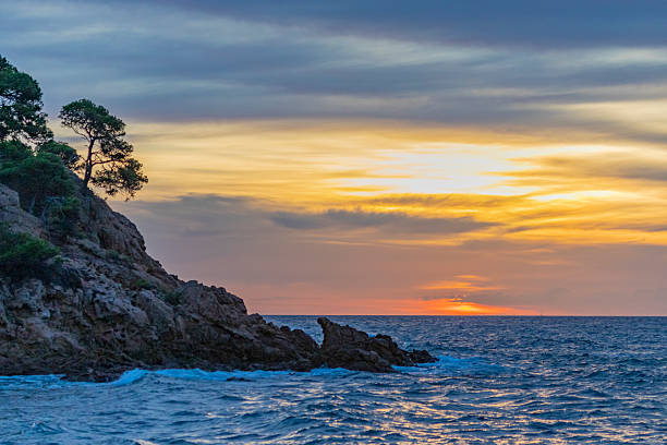 Cala Cap Roig - Costa Brava in the morning sun. Pine trees on metamorphic rocks.