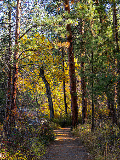 istock Kalamalka Lake Provincial Park Vernon 2244628798