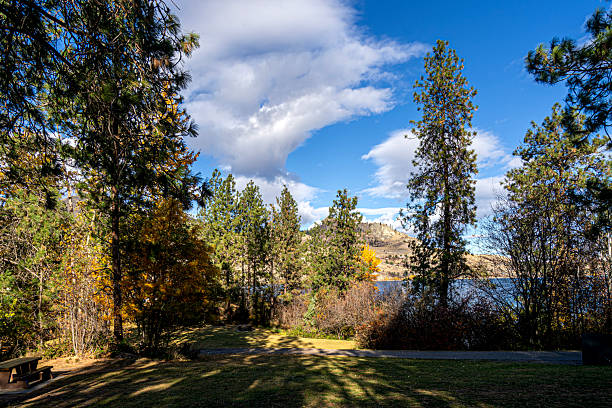 Kalamalka Lake Provincial Park - crystal clear water, rolling hills, and trails that open to sweeping lake views. Nature's calm, captured in one perfect moment, Vernon, BC Canada