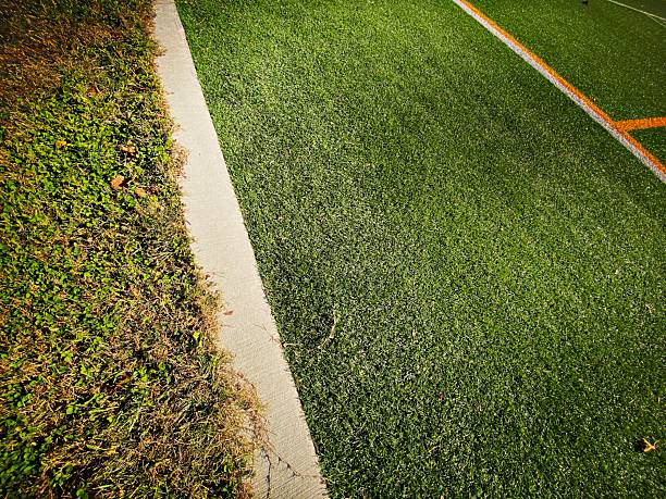 Real Turf and Sports Turf