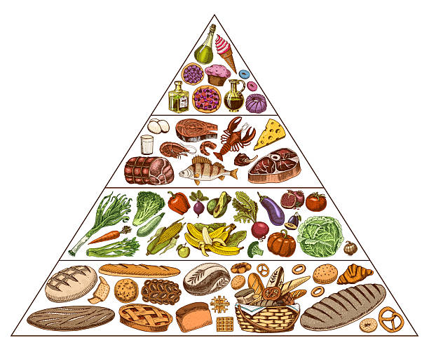 istock Healthy food plan pyramid. Infographics for Balanced Diet percentage. Lifestyle concept. Ingredients for meal plan. Nutrition guide. Hand drawn in vintage style. 2244631688