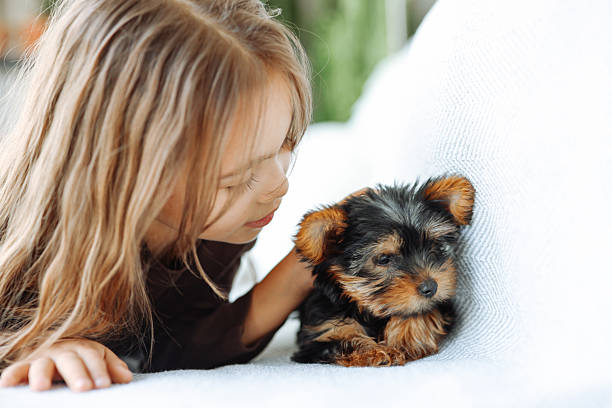 istock Little girl playing with dog on the sofa 2244635252