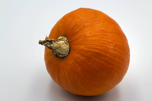 pumpkin with sweet flesh, a ripe large orange pumpkin from which various types of dishes are prepared closeup