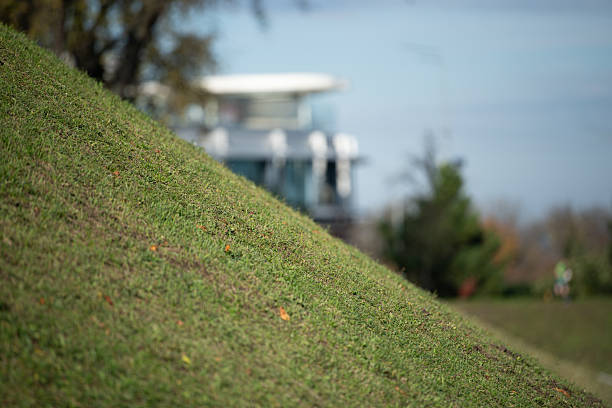 A lush green hillside gently slopes down toward a modern building. The scene captures a tranquil outdoor area with trees in the background under a clear sky.