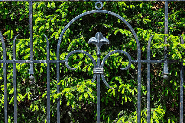 istock Intricate metal gate design surrounded by lush green foliage in a serene garden setting 2244641221