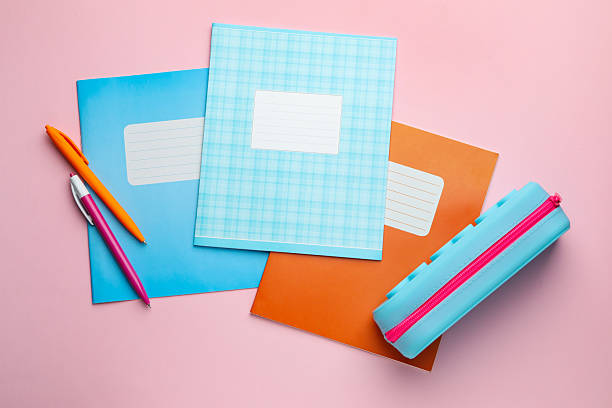 istock Copybooks, pens and pencil case on pink background, flat lay 2244642670