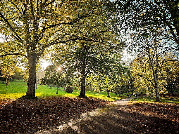 Autumn colours in the park at Cockington in Torquay