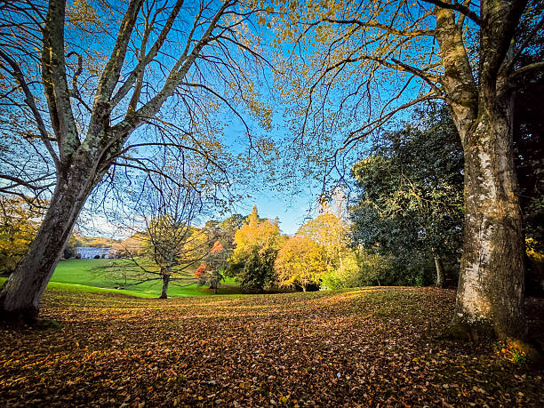 Autumn colours in the park at Cockington in Torquay