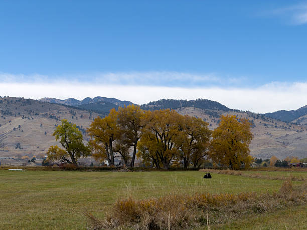 Scenic landscape showing colorful trees, a green field, and mountains under a blue sky during autumn