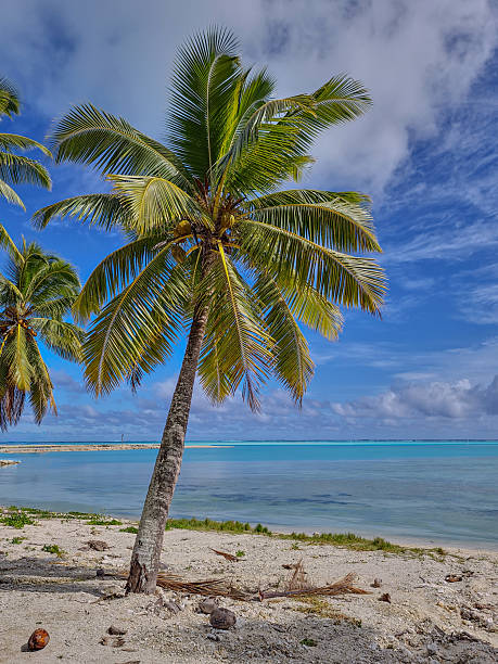 A breathtaking sunset over a remote motu on Tikehau Atoll, French Polynesia, with golden and pink hues reflecting on the calm lagoon, framed by palm leaves