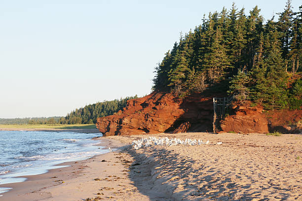 istock Red Sandstone Cliffs of Prince Edward Island 2244649504