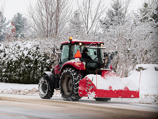 istock After the storm we clean the roads. 2244656129